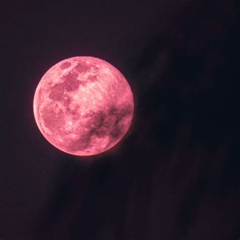 pink moon june 2023